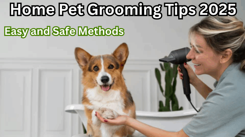 Home Pet Grooming Tips 2025 – Easy and Safe Methods