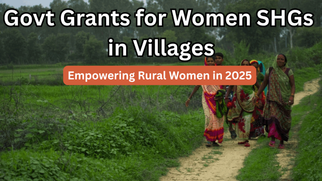 Govt Grants for Women SHGs in Villages – Empowering Rural Women in 2025